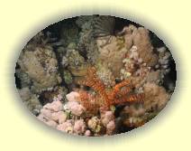 IMG_2007_05_28 23_29_11 * 2272 x 1704 * (697KB)